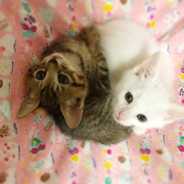 懐っこいキュートな姉妹❤️
