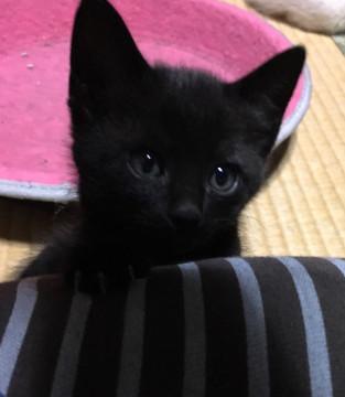 抱っこ大好き甘えん坊