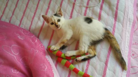 人慣れ抜群の２ヶ月の女の子