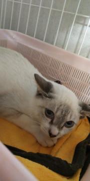 おとなしくて、可愛いム～ちゃん