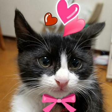 天使の子❤　グーたんです