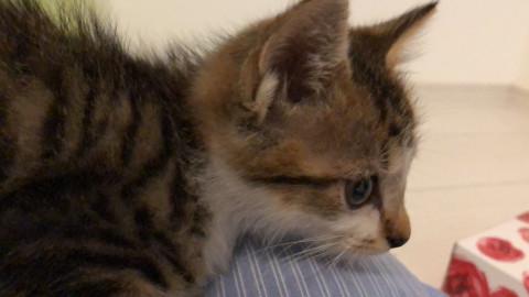 甘えん坊な男の子