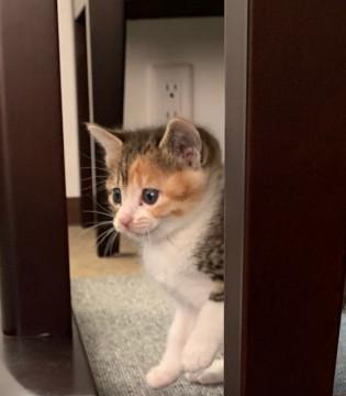 好奇心旺盛の塊です。