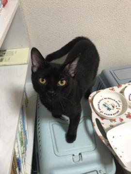 僕を抱っこして♬