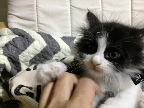 9月6日生まれの7兄妹