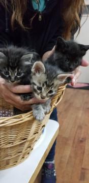 9月6日生まれの7兄妹