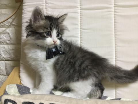 9月6日生まれの7兄妹