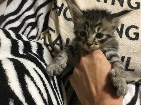 9月6日生まれの7兄妹です