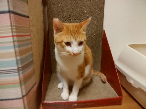 おひざ大好き！◎あいくん◎