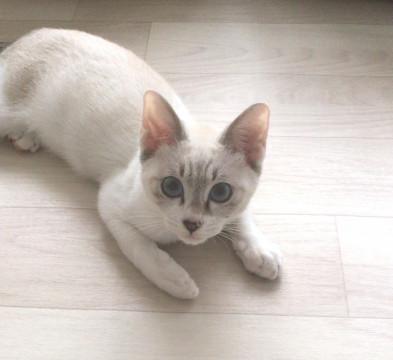 天真爛漫♡陽気な男の子