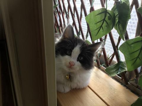 9月6日生まれの7兄妹