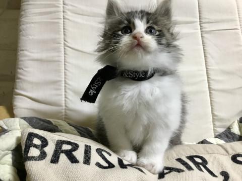 9月6日生まれの7兄妹