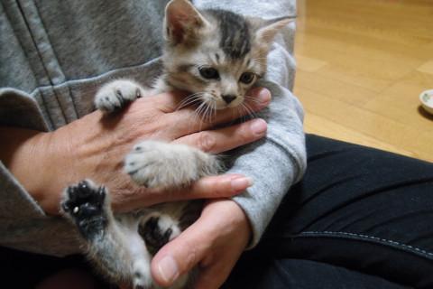 ヤンチャになりました