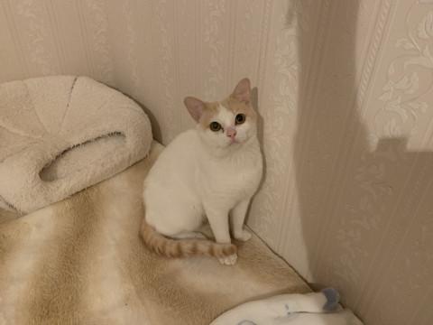 人に裏切られても人が大好きな甘えん坊❤️