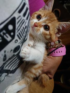 天真爛漫な子♪