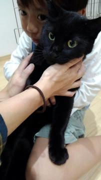 天邪鬼なドラゴンくん