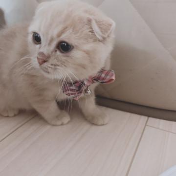 抱っこ大好き♡超甘えん坊ちゃん♡
