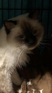 おしゃれな　ぼうや★彡