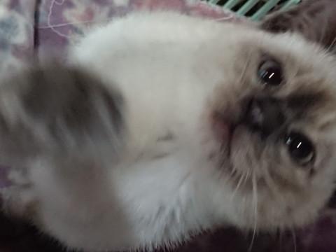 遊び大好きな智くんです(^-^)