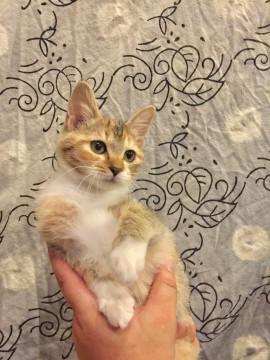 ゴロゴロゴロ〜〜〜♪♪♪が止まらない?