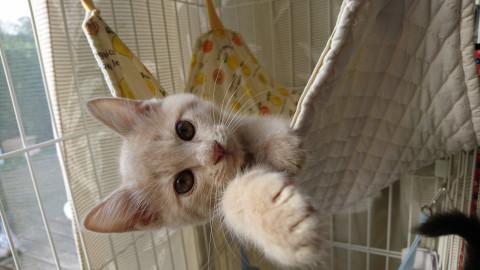 千葉県白井市/ ぽっちゃりさんたち