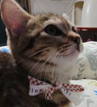 詩(うた)ちゃんです(^-^)