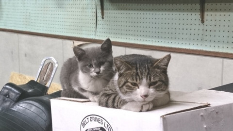 ☆寒空の下寄り添う2匹☆