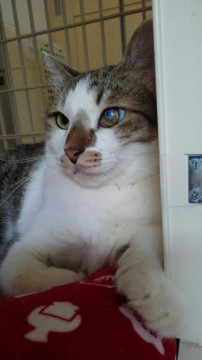 仲良しバディと里子に出ました♪