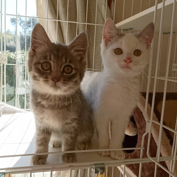 千葉県白井市/ 仲良し兄妹です