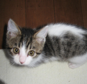 追いかけっこ大好きな元気クン