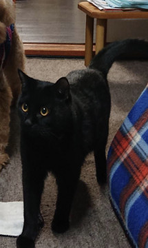 仏のこうた君(o^^o)