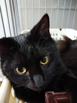 ぼう君と呼んでます(=^ェ^=)