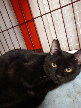 だん君と呼んでます(=^ェ^=)