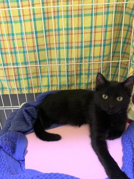 6ヶ月位☆仮名のワケは！？こおり君♂