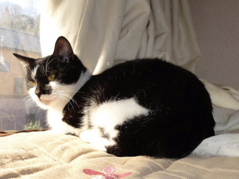 甘えん坊の女の仔