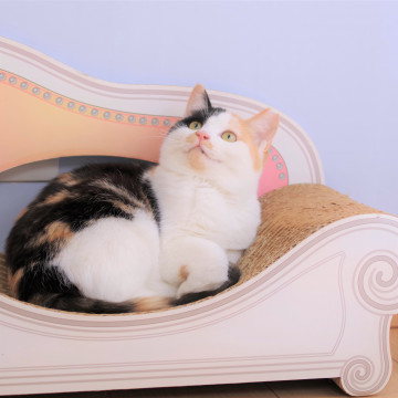 兄弟想い優しいお姉ちゃん☆シロップちゃん