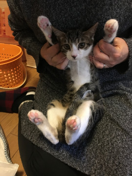 手足ソックス美形男の子