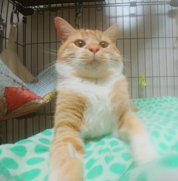 僕専用のおひざ空いてませんか？