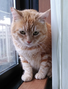 人が好き誰でもウエルカムなあべかわさん