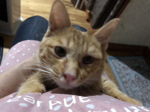 めちゃくちゃかわいい^ ^