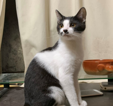 おっとりやさしい男の子