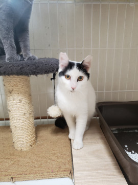 とっても性格の良い飼いやすいきみまろ君