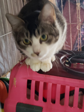 とにかく人が大好き、ベタ甘な女の子です