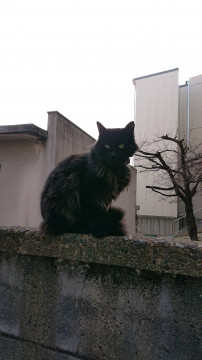 お母さんと息子