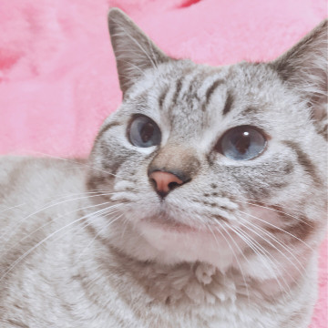 甘えん坊で寂しがり屋の男の子♡