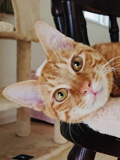 ブラッシング大好きなオシャレ男子☆