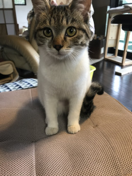 可愛い女の子です。