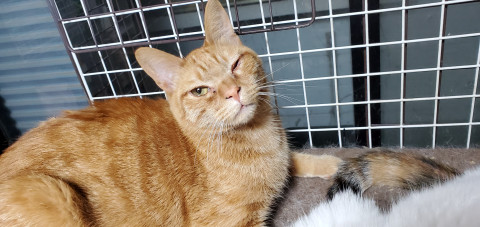 ビビリなイクメン❤️