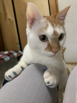 甘えん坊の男の子