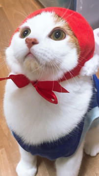 おっとりな男の子
